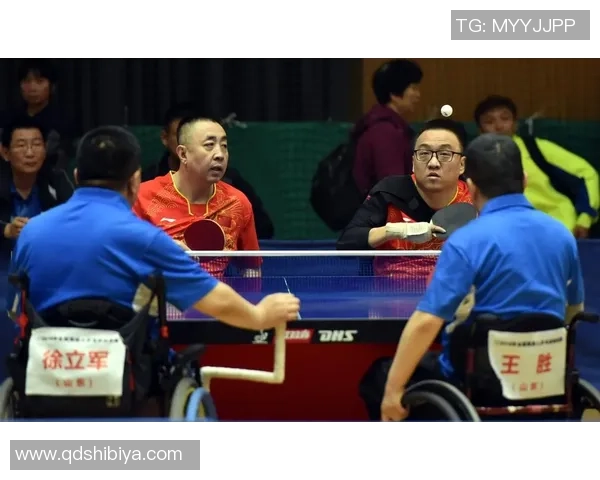 乒乓球的魅力：深入分析杭州乒乓球队员的个人技术与战术能力