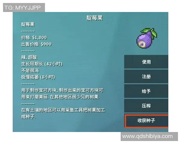 从零开始掌握足球技巧与状态提升的全面指南与实用策略