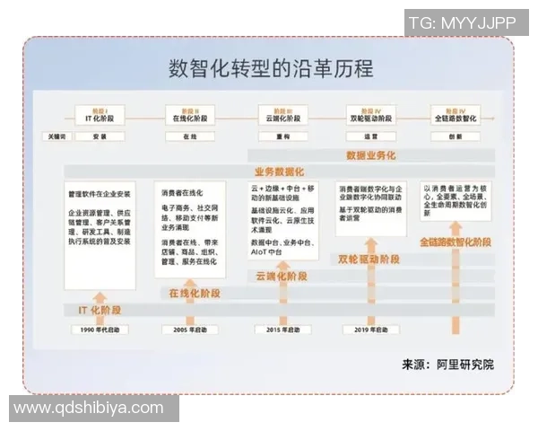 成都排球队的转型之路：从传统强队到现代化竞技新标杆的探索与实践