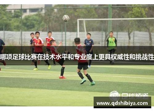 哪项足球比赛在技术水平和专业度上更具权威性和挑战性