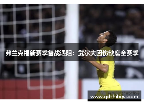 弗兰克福新赛季备战遇阻：武尔夫因伤缺席全赛季