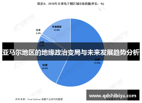 亚马尔地区的地缘政治变局与未来发展趋势分析