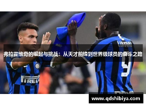 弗拉霍维奇的崛起与挑战：从天才前锋到世界级球员的奋斗之路